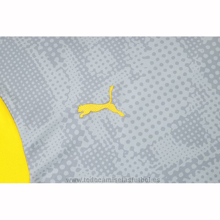 Camiseta de Entrenamiento Borussia Dortmund 2025-2026 Gris